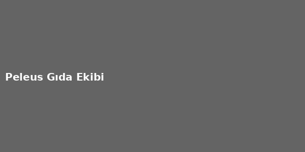 Kurumsal ekip